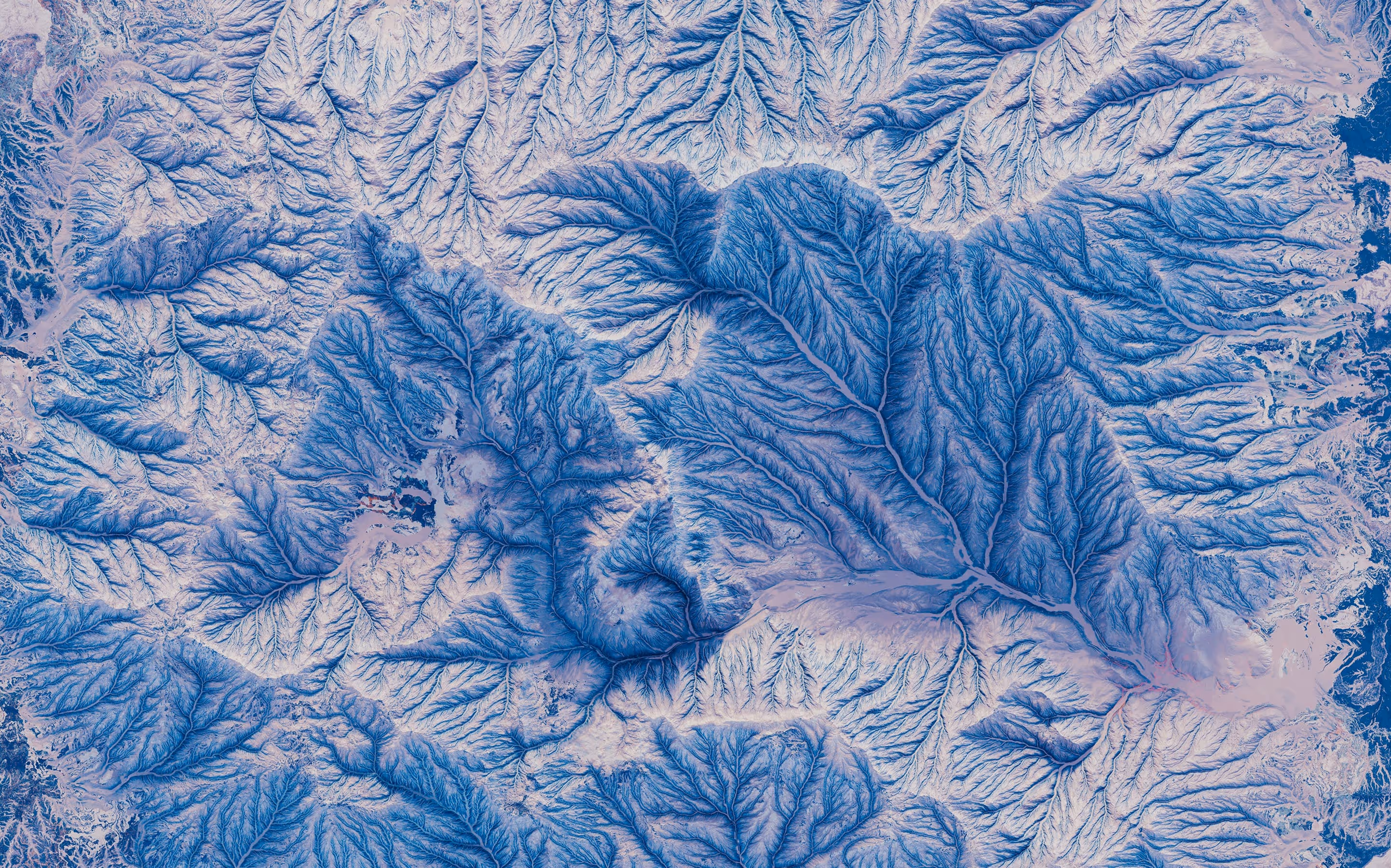 Satellite view of a river delta with branching blue waterways spreading across a light terrain.